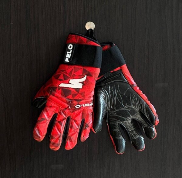 Felo Gloves(Professional) - Image 2