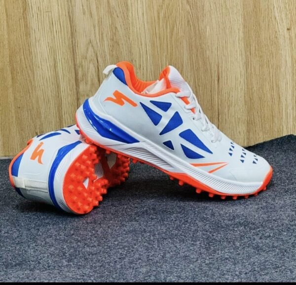 Cricket Shoes