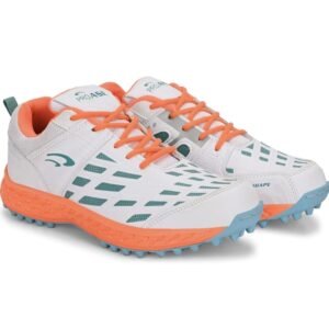 Cricket shoes (PRO ASE)