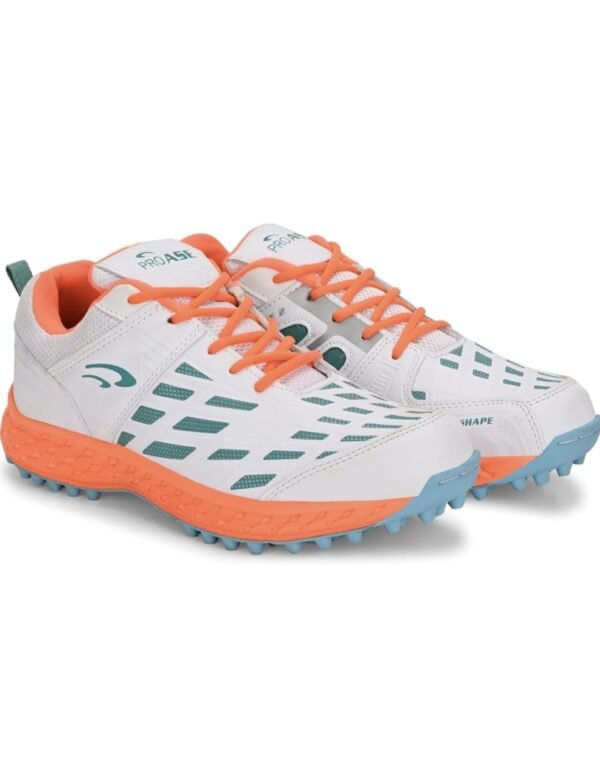 Cricket shoes (PRO ASE)