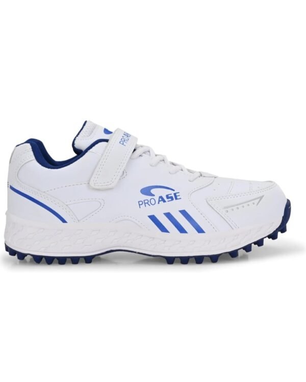 Cricket shoes